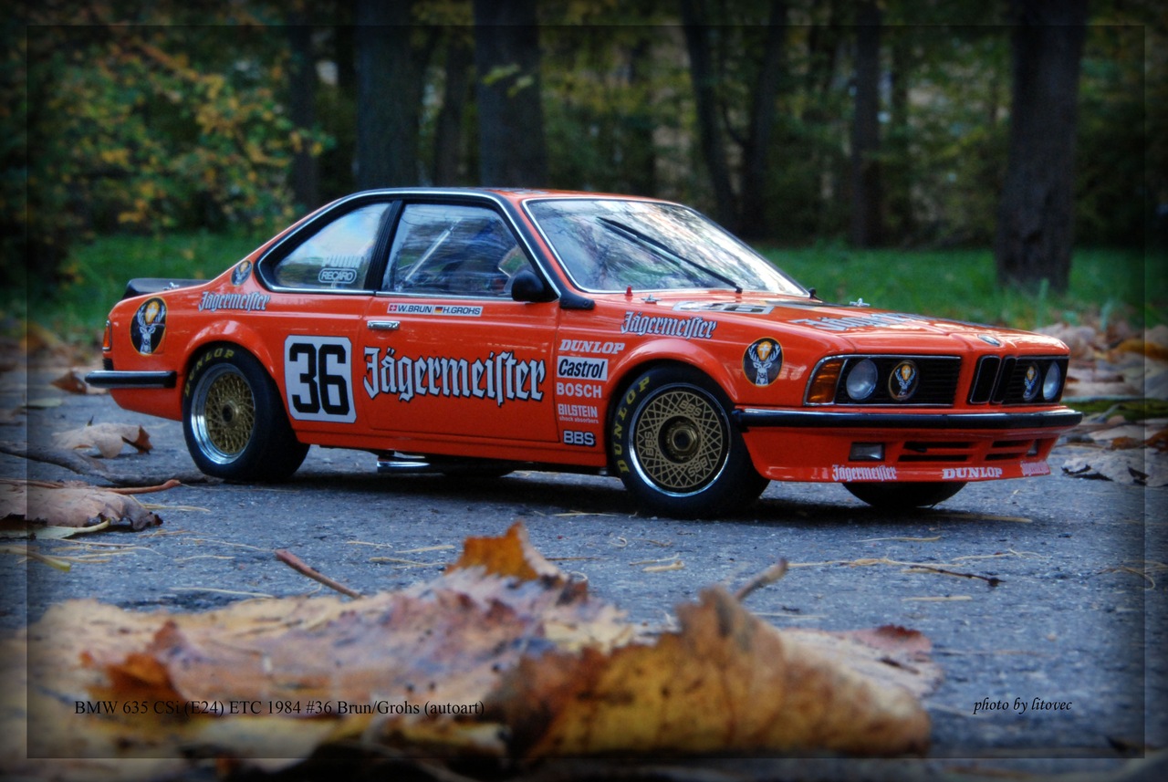 BMW 635 CSi (E24) ETC 1984, #36 Brun/Grohs (autoart)