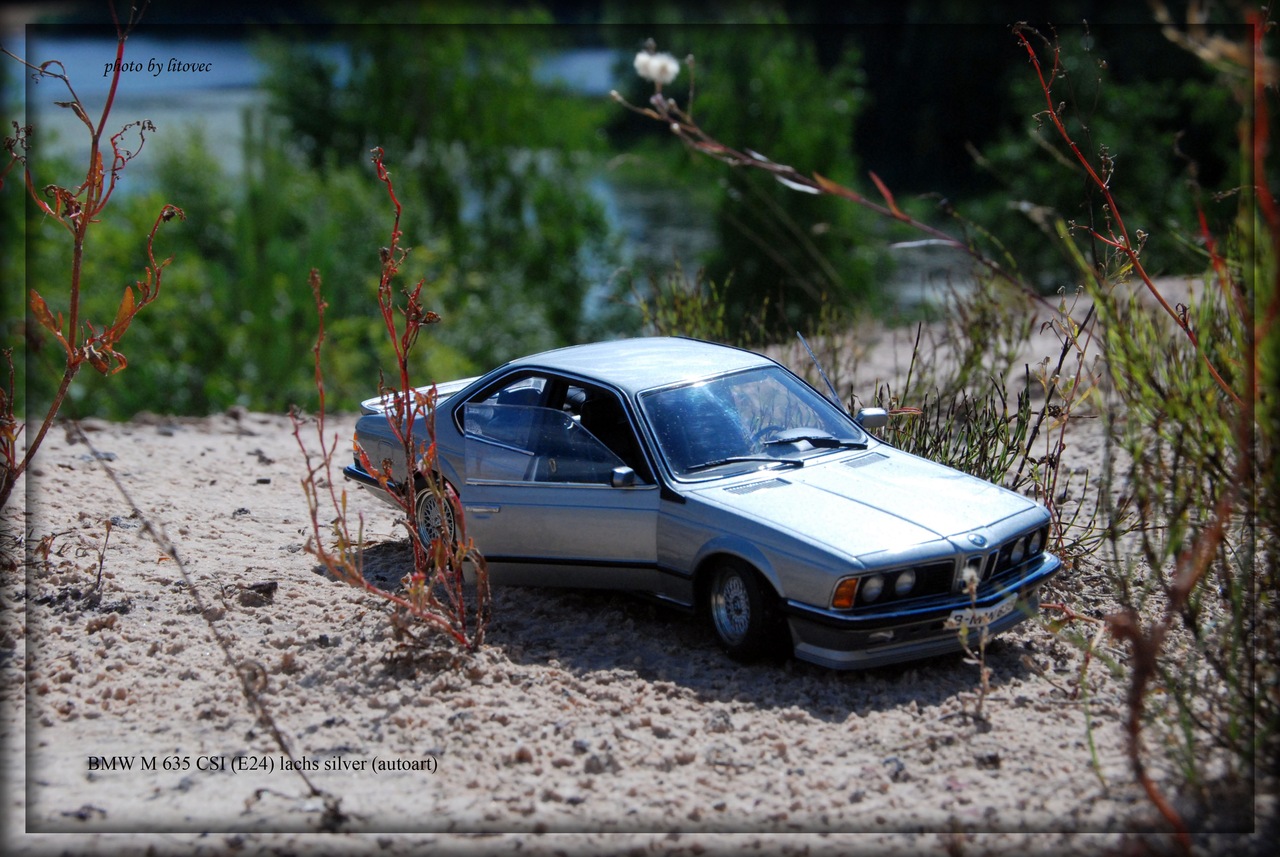 BMW M635 Csi (E24) silver (autoart)